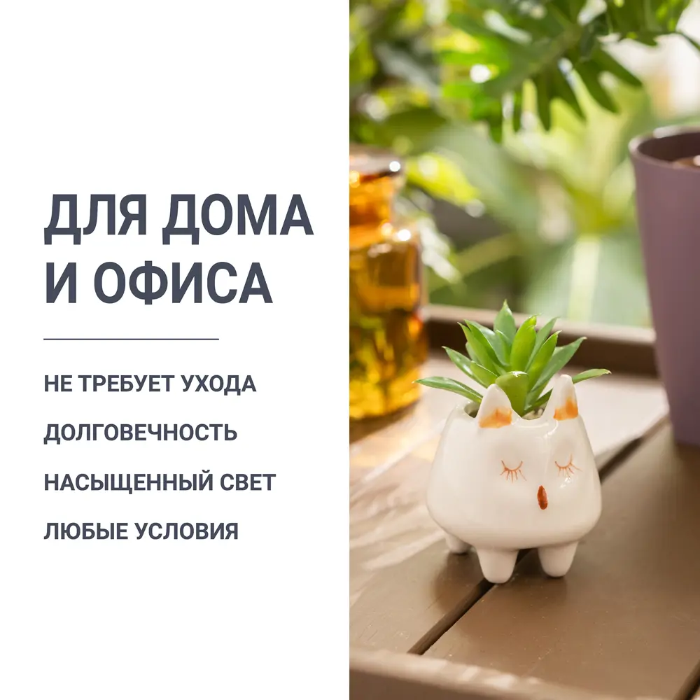 Фото 4 Суккулент искусственный Лисичка в горшке 7x7x10 см Фото 4 Суккулент искусственный Лисичка в горшке 7x7x10 см