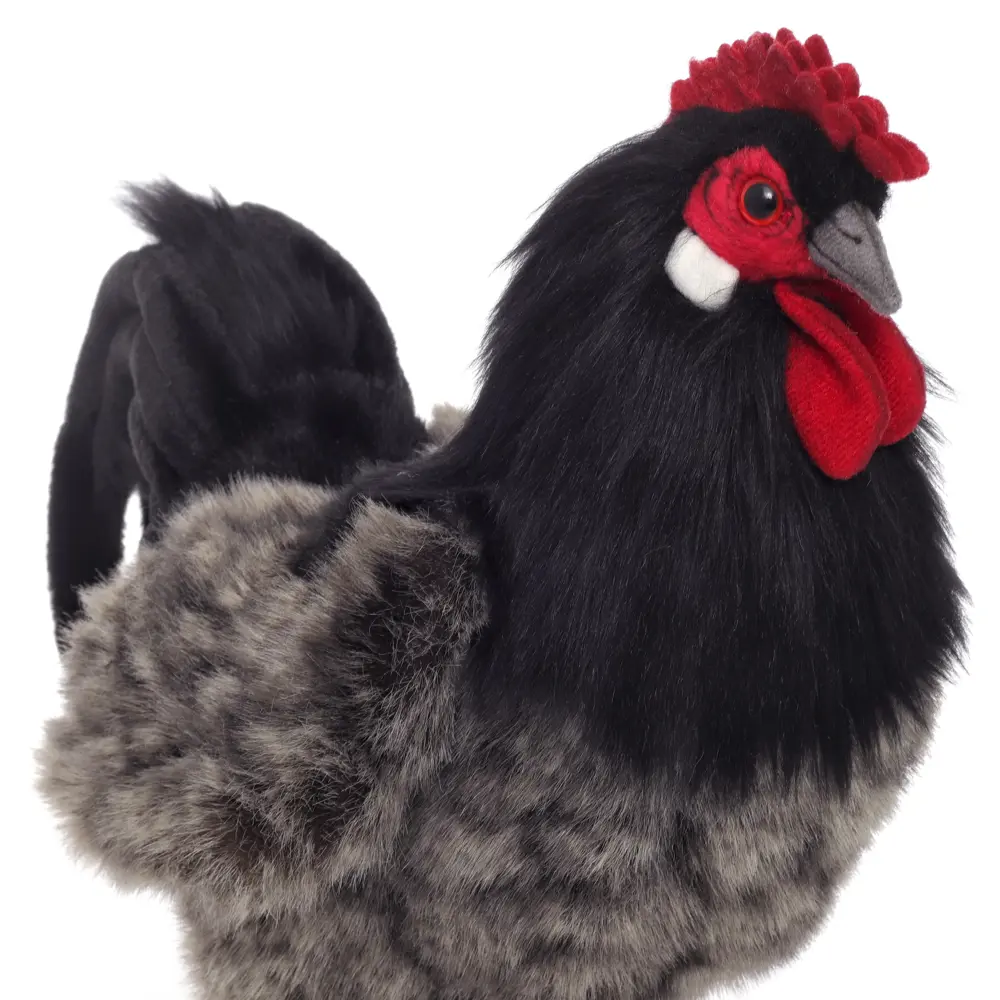 Фото Плюшевая игрушка Курица 6037 Hansa creation 26 см цвет черный