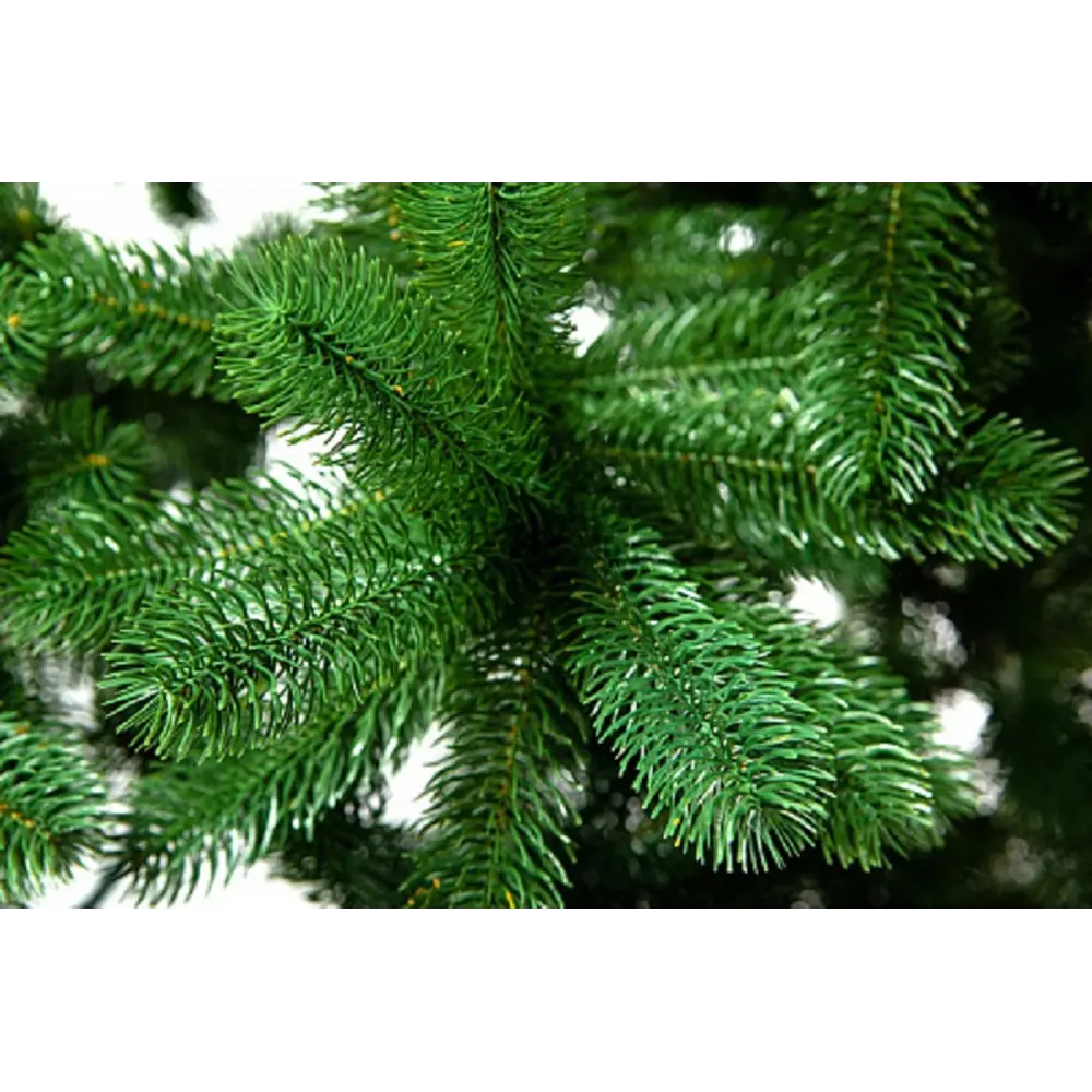 Фото 3 Ель новогодняя искусственная Crystal trees KP00180 Бергамо 180 см Фото 3 Ель новогодняя искусственная Crystal trees KP00180 Бергамо 180 см