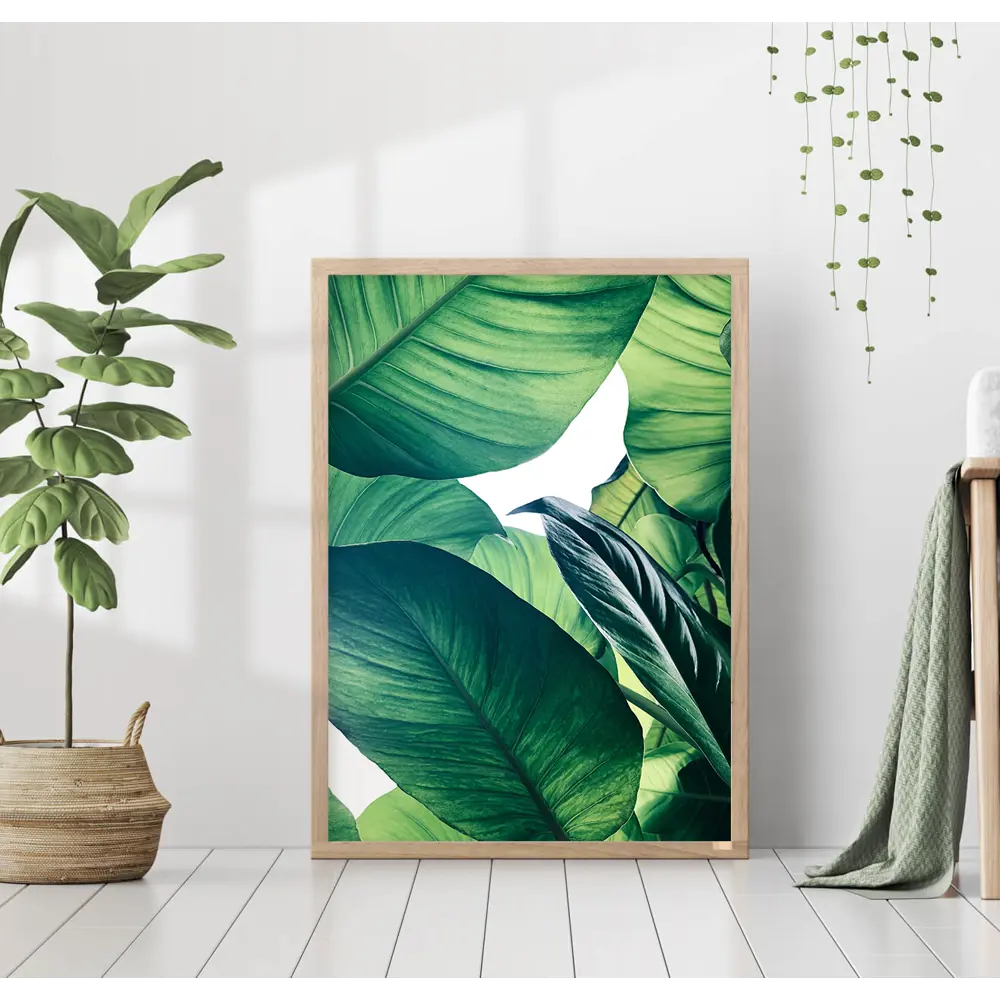 Фото Постер 28 картин "Банановые листья" 50x40 см без рамы Фото Постер 28 картин "Банановые листья" 50x40 см без рамы