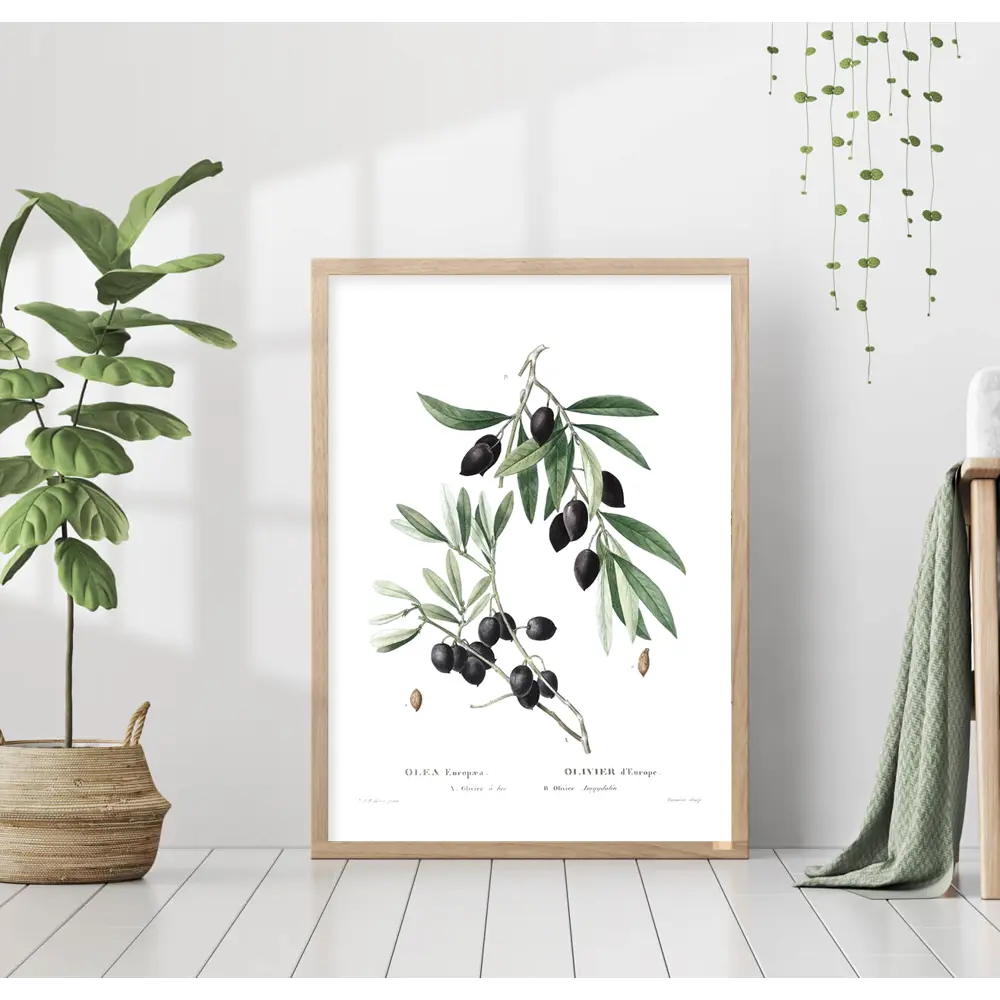 Фото Постер 28 картин "Ветка оливы" 50x40 см без рамы Фото Постер 28 картин "Ветка оливы" 50x40 см без рамы