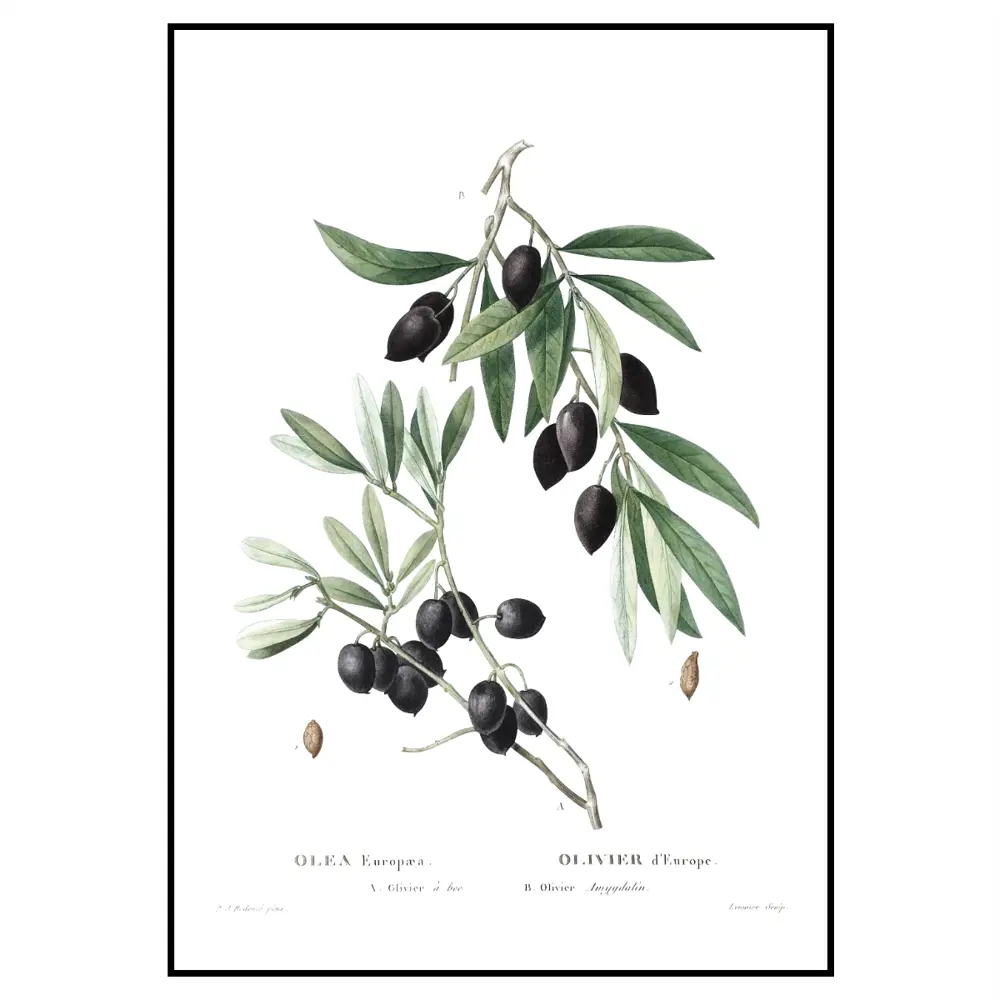 Фото 2 Постер 28 картин "Ветка оливы" 50x40 см без рамы Фото 2 Постер 28 картин "Ветка оливы" 50x40 см без рамы