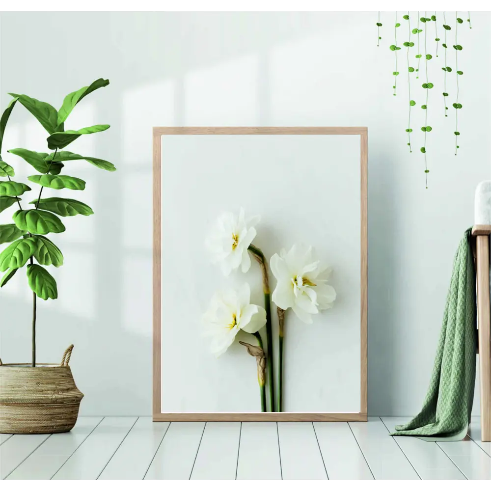 Фото Постер 28 картин "Белые нарциссы" 70x50 см без рамы Фото Постер 28 картин "Белые нарциссы" 70x50 см без рамы