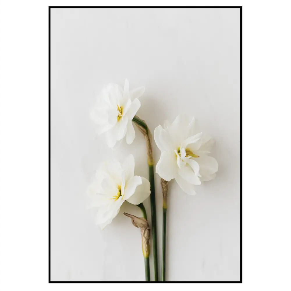 Фото 2 Постер 28 картин "Белые нарциссы" 70x50 см без рамы Фото 2 Постер 28 картин "Белые нарциссы" 70x50 см без рамы