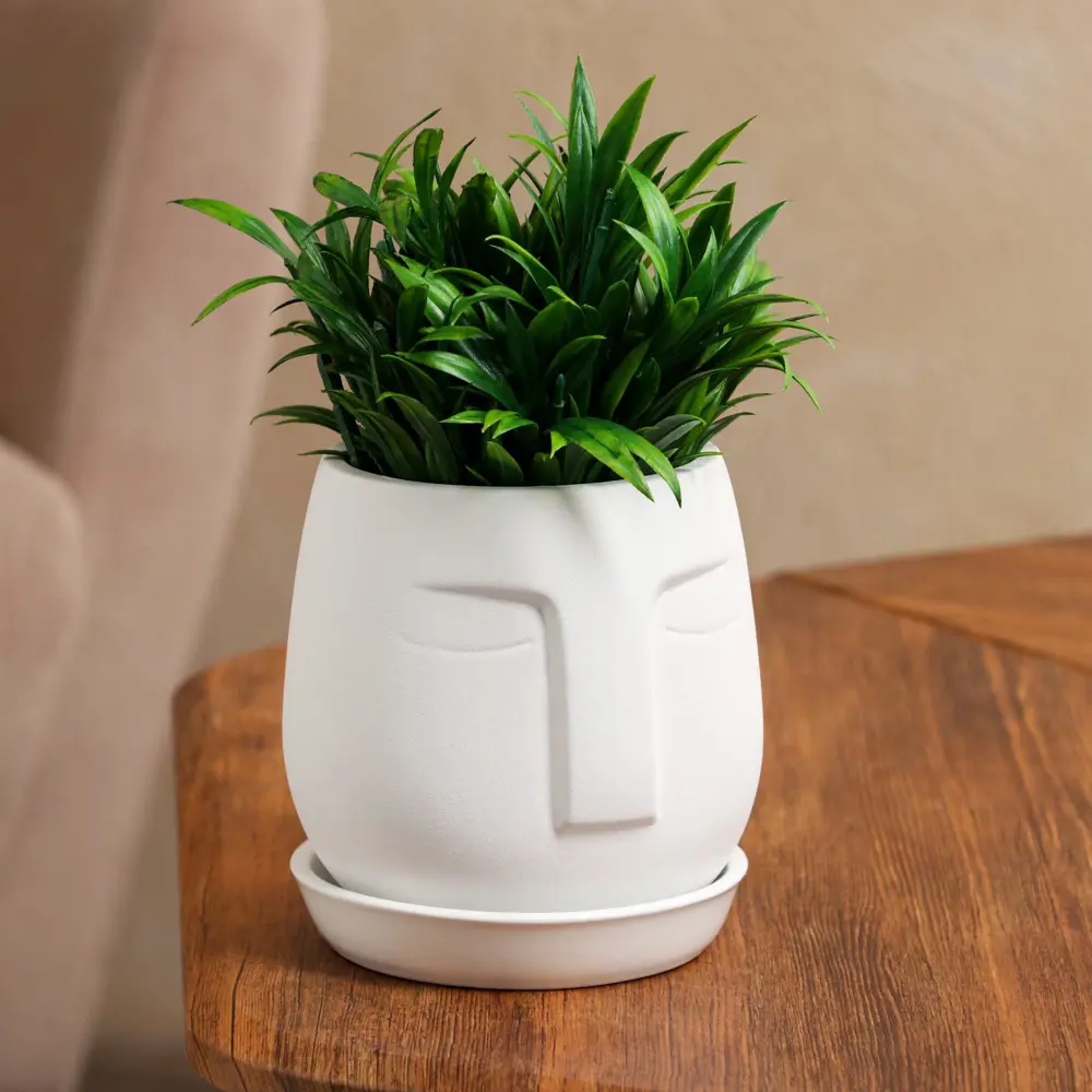 Фото Горшок цветочный Nana Ceramics 13 см 13 1.20 л керамика белый Фото Горшок цветочный Nana Ceramics 13 см 13 1.20 л керамика белый