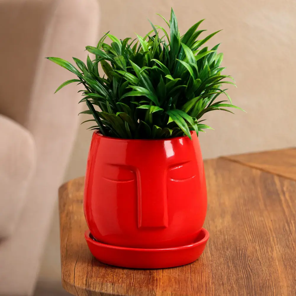 Фото Горшок цветочный Nana Ceramics 13 см 13 1.20 л керамика красный Фото Горшок цветочный Nana Ceramics 13 см 13 1.20 л керамика красный