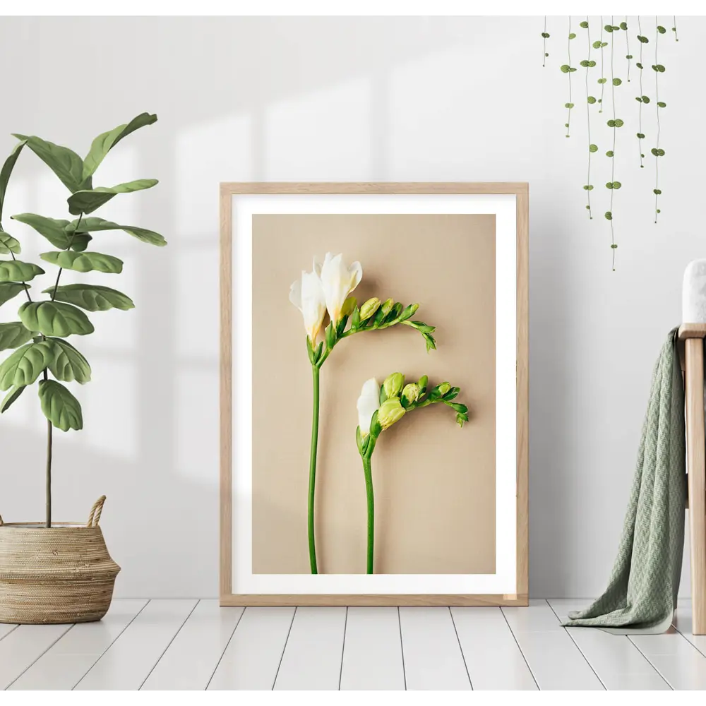 Фото Постер 28 картин "Два белых цветка" 40x50 см, в подарочном тубусе без рамы