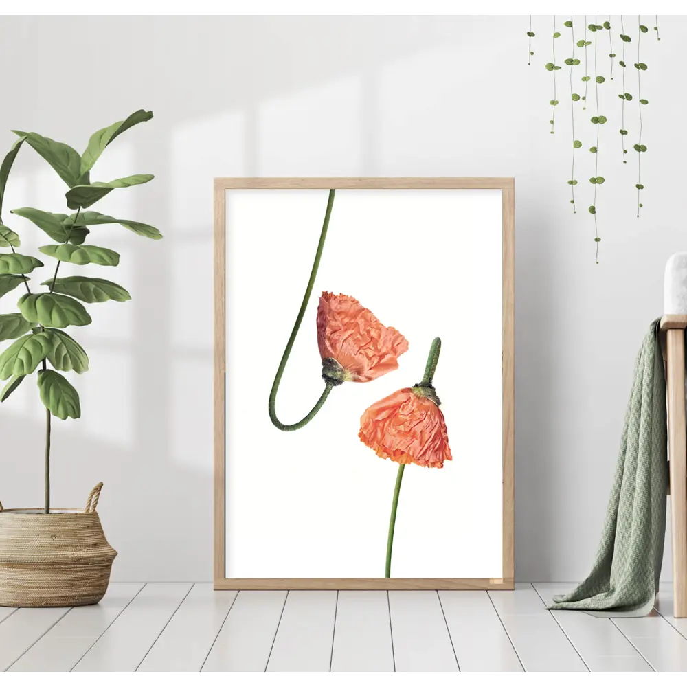 Фото Постер 28 картин "Два красных мака" 40x50 см, в подарочном тубусе без рамы Фото Постер 28 картин "Два красных мака" 40x50 см, в подарочном тубусе без рамы