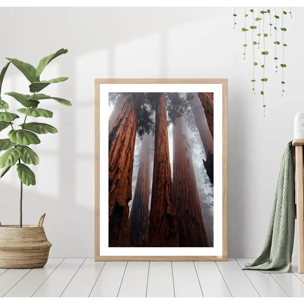 Фото Постер 28 картин "Деревья в бору" 40x50 см, в подарочном тубусе без рамы Фото Постер 28 картин "Деревья в бору" 40x50 см, в подарочном тубусе без рамы