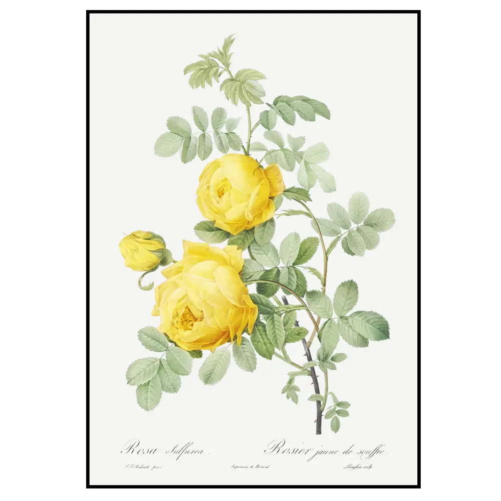 Фото 2 Постер 28 картин "Желтые розы" 40x50 см, в подарочном тубусе без рамы Фото 2 Постер 28 картин "Желтые розы" 40x50 см, в подарочном тубусе без рамы