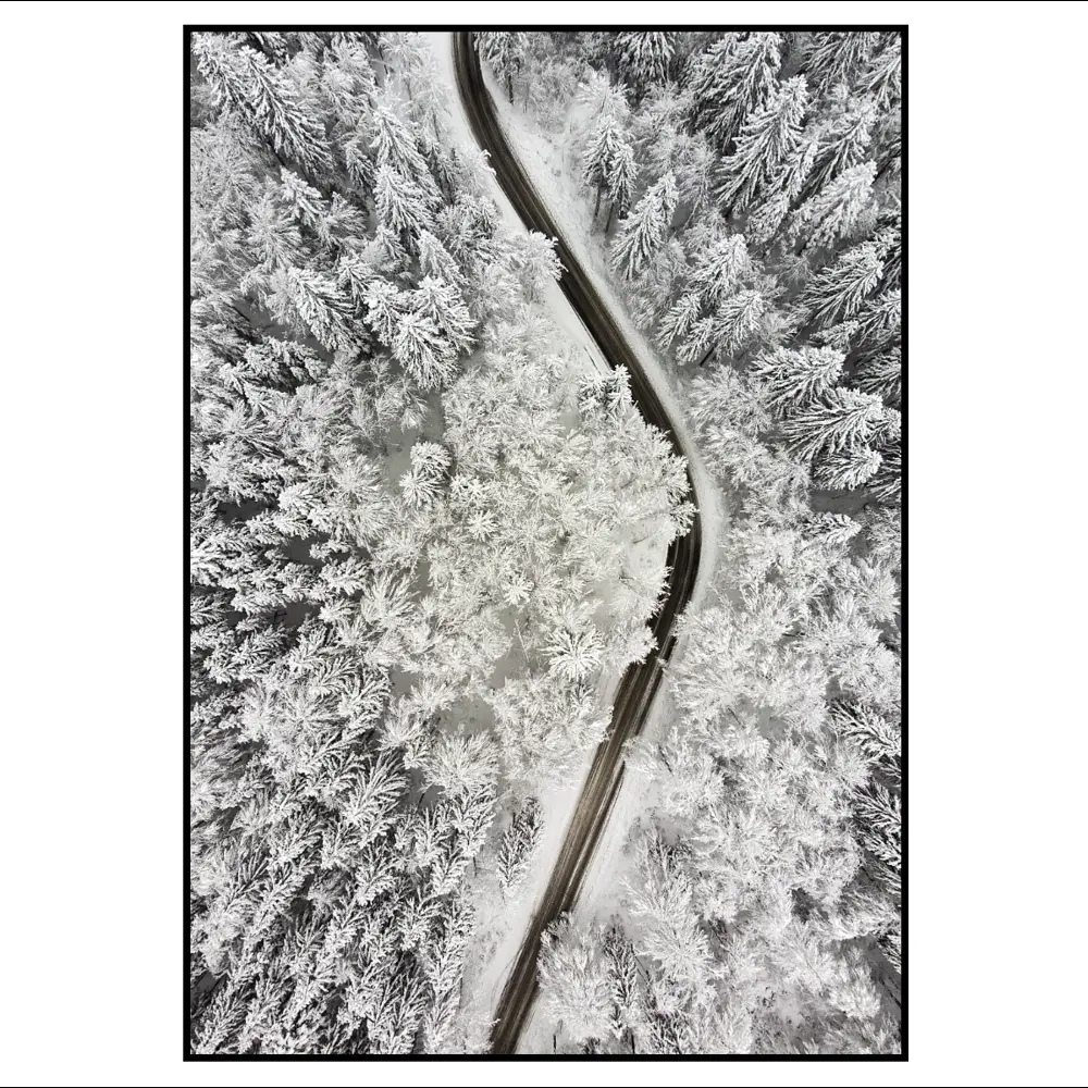 Фото 2 Постер 28 картин Дорога в зимнем лесу Вид сверху 50x70 см, в подарочном тубусе без рамы Фото 2 Постер 28 картин Дорога в зимнем лесу Вид сверху 50x70 см, в подарочном тубусе без рамы