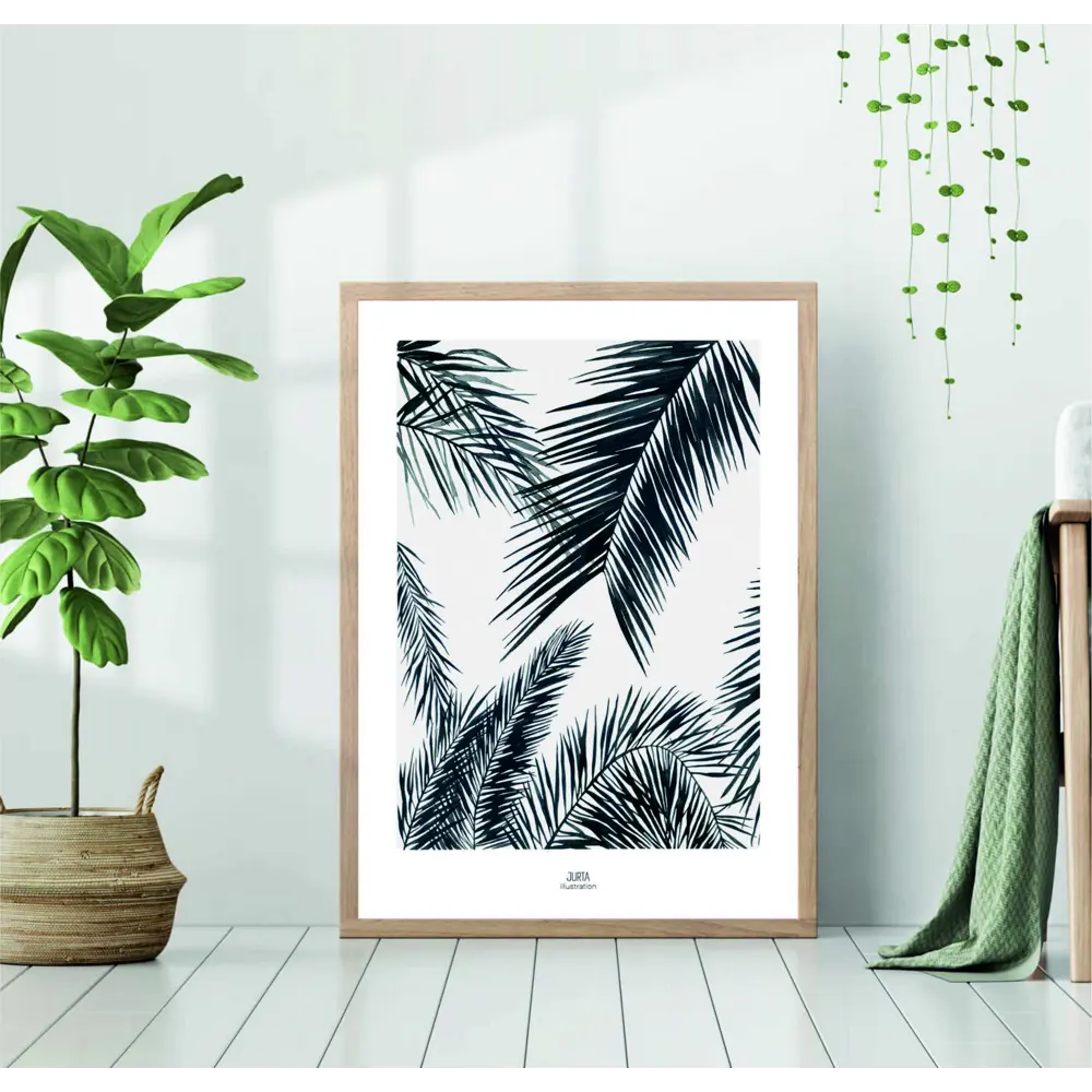 Фото Постер 28 картин Листья пальмы Монохром 40x50 см, в подарочном тубусе без рамы Фото Постер 28 картин Листья пальмы Монохром 40x50 см, в подарочном тубусе без рамы