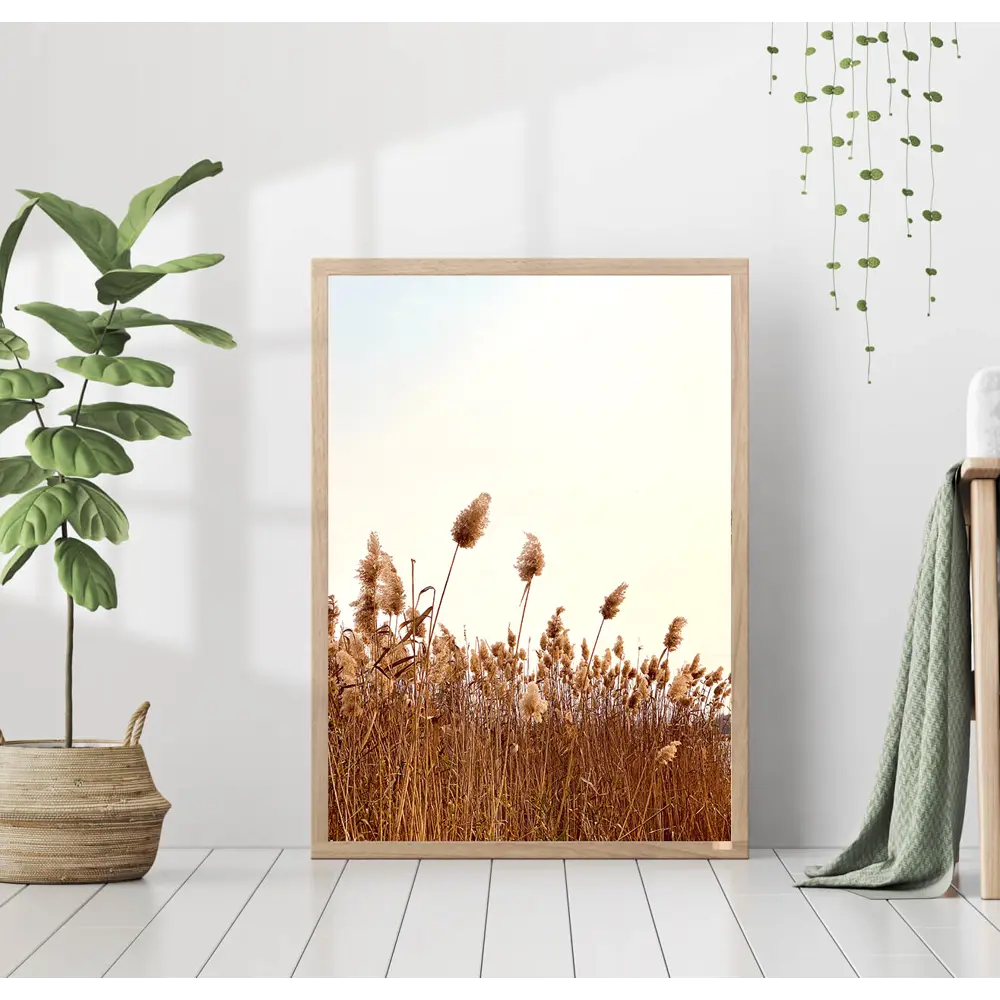 Фото Постер 28 картин "Колосья" 50x70 см, в подарочном тубусе без рамы Фото Постер 28 картин "Колосья" 50x70 см, в подарочном тубусе без рамы