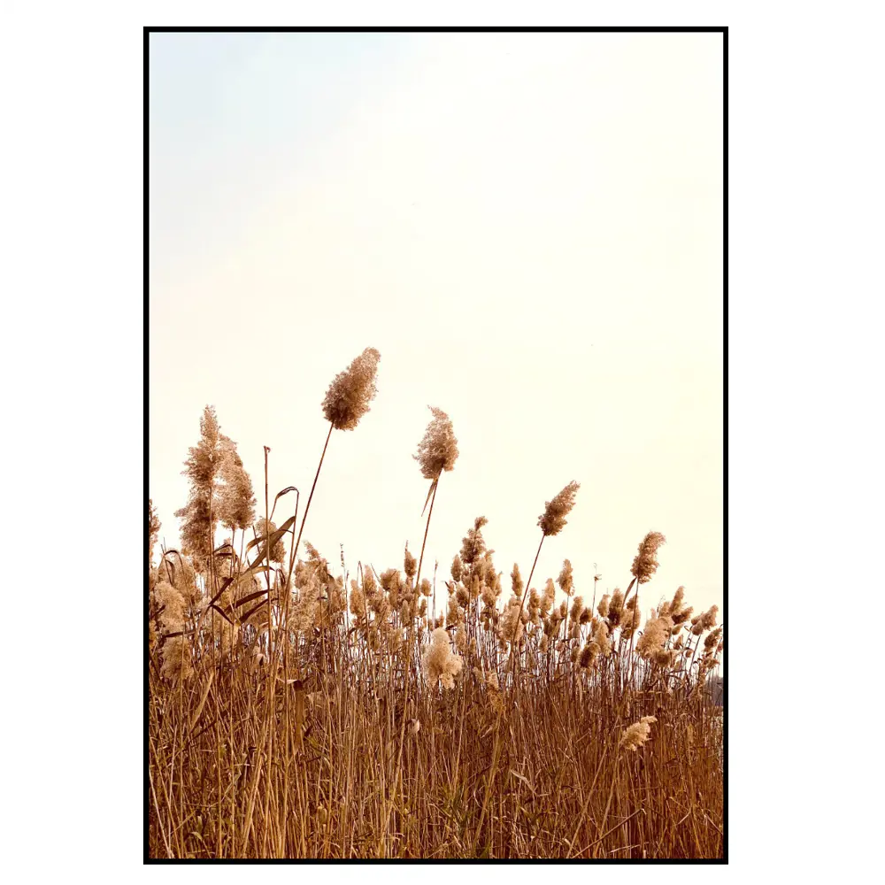 Фото 2 Постер 28 картин "Колосья" 50x70 см, в подарочном тубусе без рамы Фото 2 Постер 28 картин "Колосья" 50x70 см, в подарочном тубусе без рамы