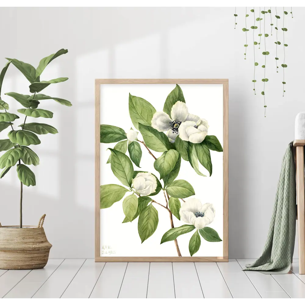 Фото Постер 28 картин "Магнолия" 50x40 см в подарочном тубусе без рамы Фото Постер 28 картин "Магнолия" 50x40 см в подарочном тубусе без рамы