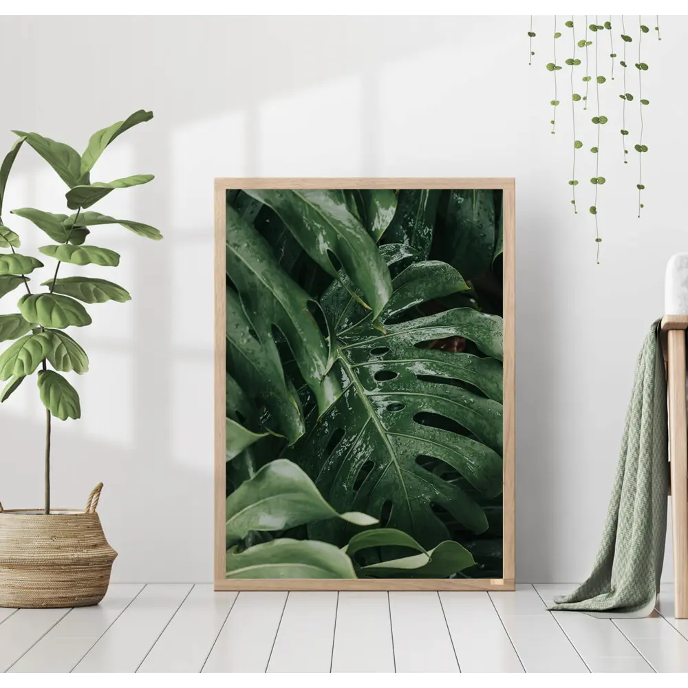 Фото Постер 28 картин "Монстера листья" 70x50 см в подарочном тубусе без рамы Фото Постер 28 картин "Монстера листья" 70x50 см в подарочном тубусе без рамы