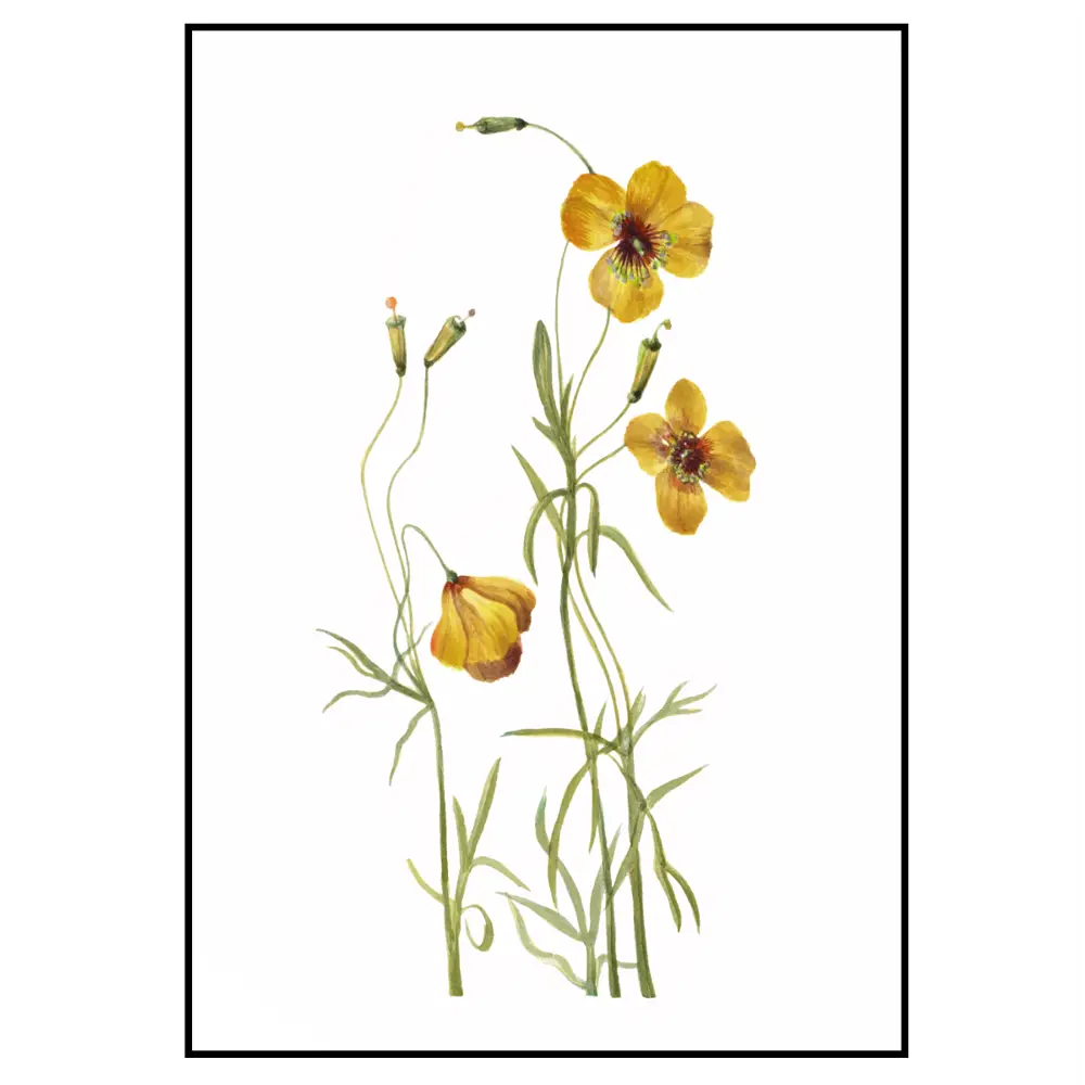 Фото 2 Постер 28 картин "Лютики" 70x50 см в подарочном тубусе без рамы Фото 2 Постер 28 картин "Лютики" 70x50 см в подарочном тубусе без рамы