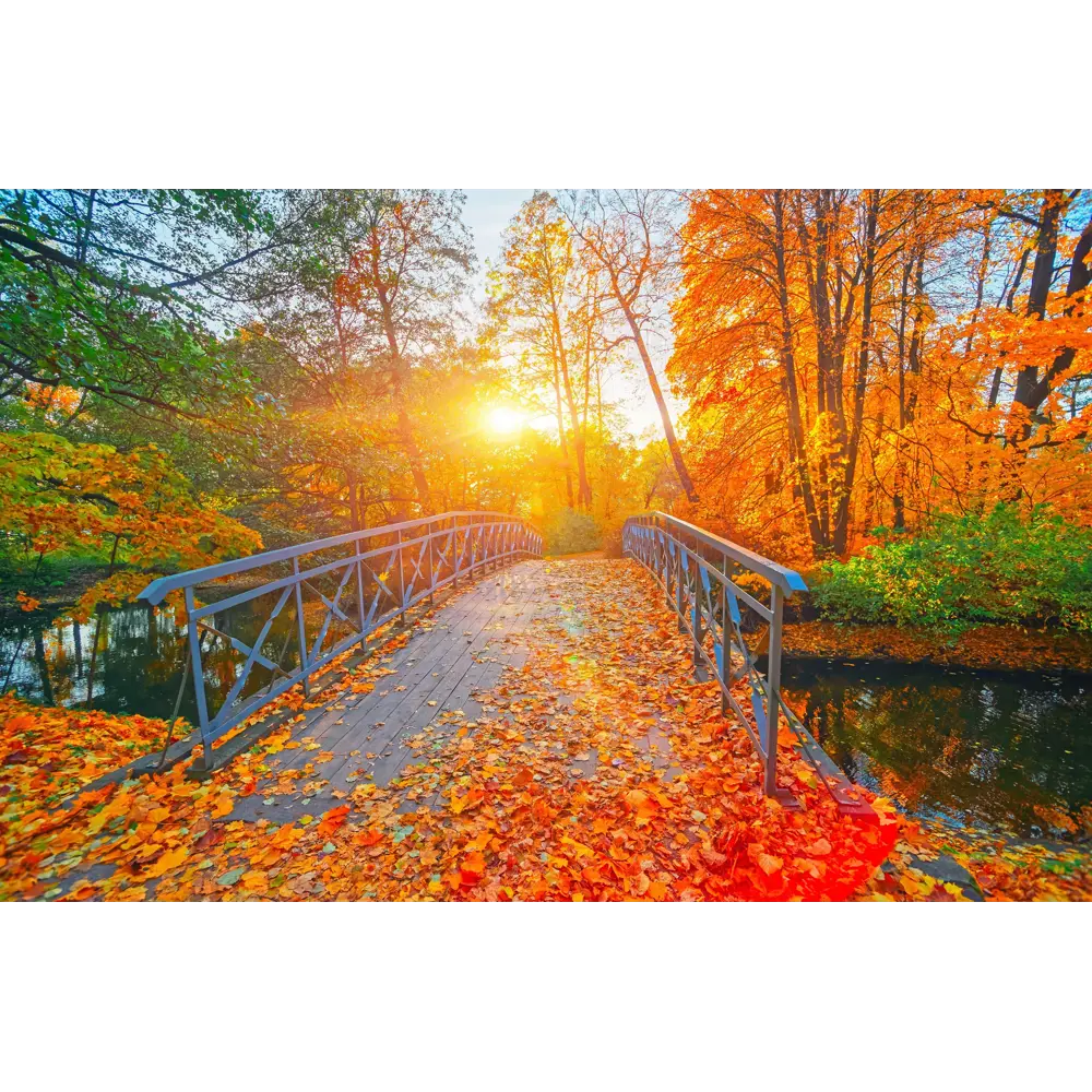 Фото 4 Фотообои флизелиновые Primavera Осенний пейзаж 400x270 см Фотообои Фото 4 Фотообои флизелиновые Primavera Осенний пейзаж 400x270 см Фотообои