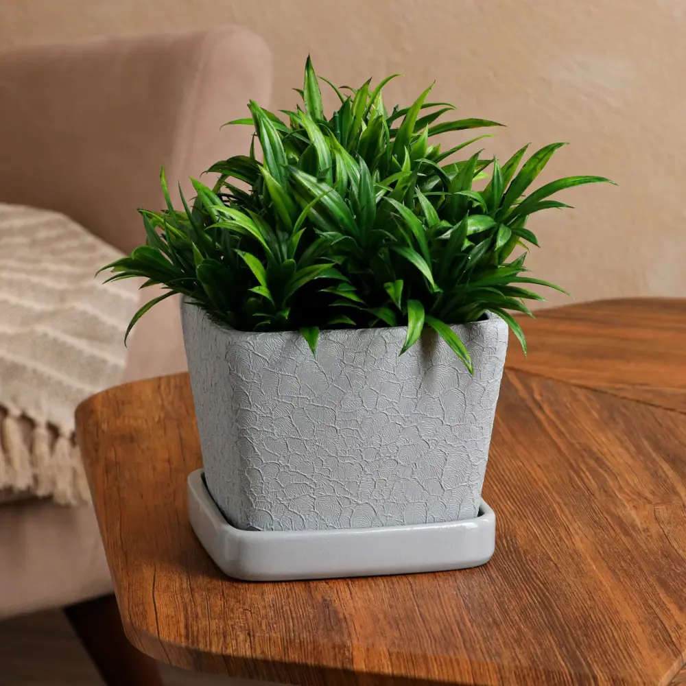 Фото Горшок цветочный Nana ceramics 14 см 12 см 1 л керамика серый с блюдцем Фото Горшок цветочный Nana ceramics 14 см 12 см 1 л керамика серый с блюдцем
