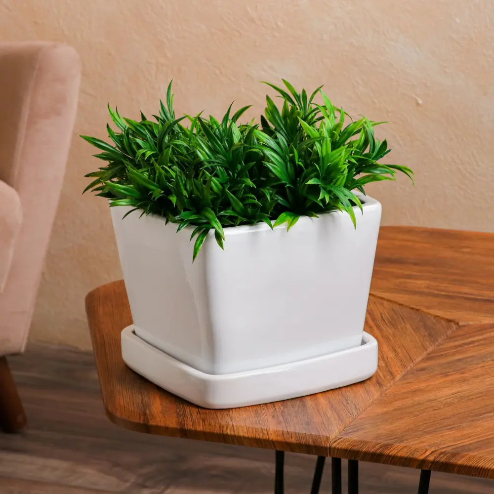 Фото Горшок цветочный Лофт Nana ceramics 22.5 см 18.5 см 6.5 л керамика белый Фото Горшок цветочный Лофт Nana ceramics 22.5 см 18.5 см 6.5 л керамика белый
