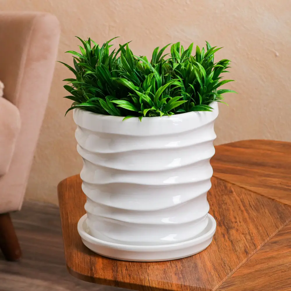 Фото Горшок цветочный Nana ceramics 23 см 23 см 5 л керамика белый с блюдцем Фото Горшок цветочный Nana ceramics 23 см 23 см 5 л керамика белый с блюдцем