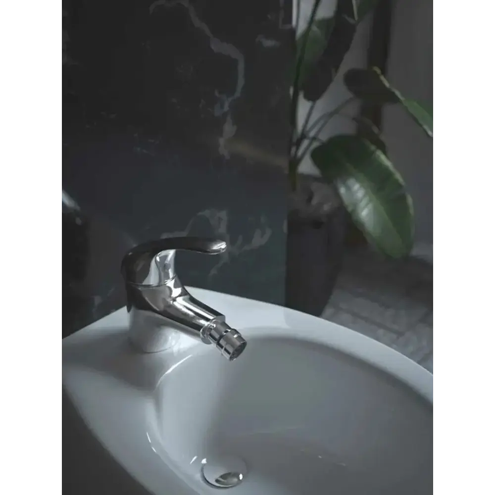 Фото Смеситель для биде Konner Line LIN1700 6126312 с гигиеническим душем цвет Серебро Фото Смеситель для биде Konner Line LIN1700 6126312 с гигиеническим душем цвет Серебро