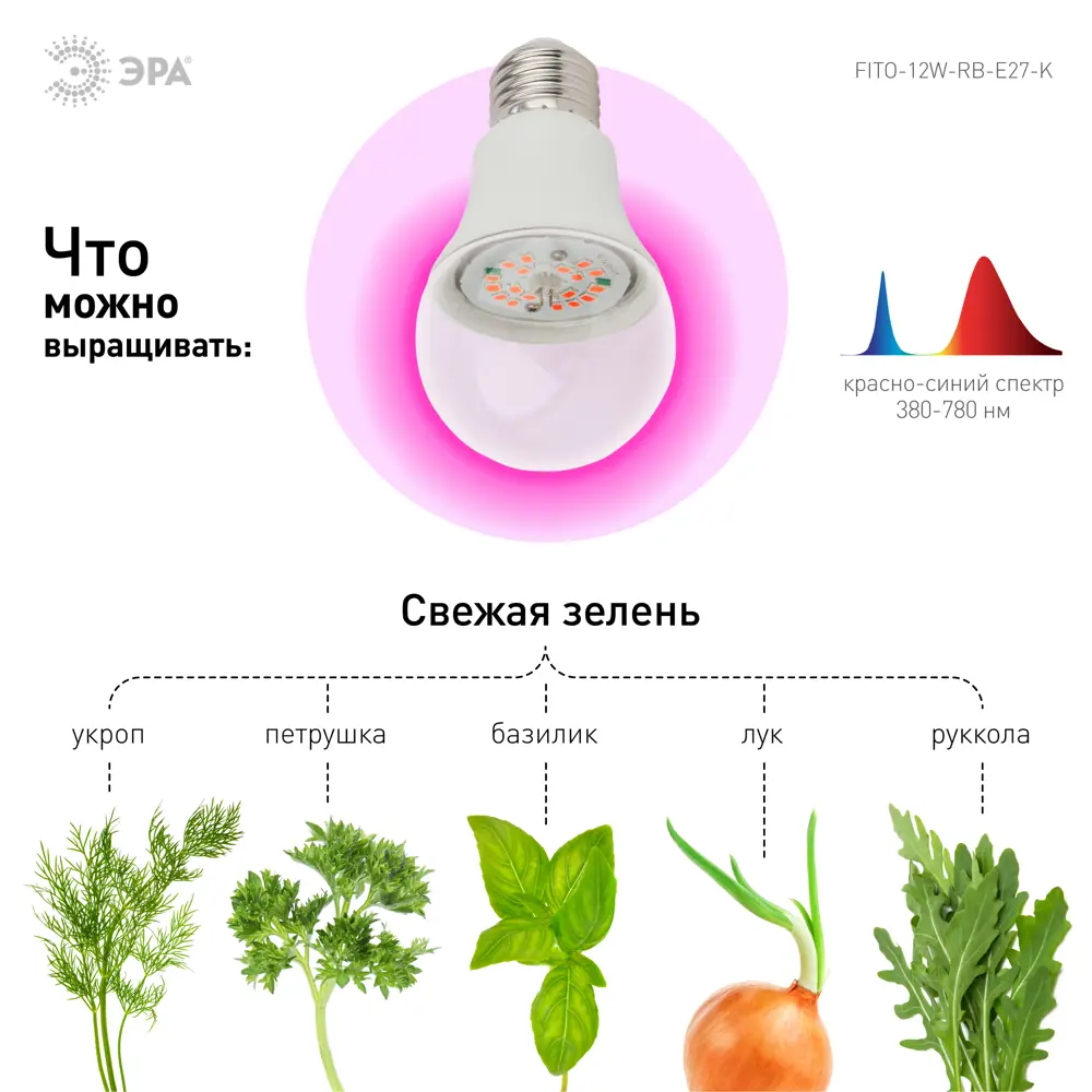Фото 3 Фитолампа светодиодная ЭРА FITO-12W-RB-E27-K Е27 12 Вт груша красно-синего спектра Фото 3 Фитолампа светодиодная ЭРА FITO-12W-RB-E27-K Е27 12 Вт груша красно-синего спектра