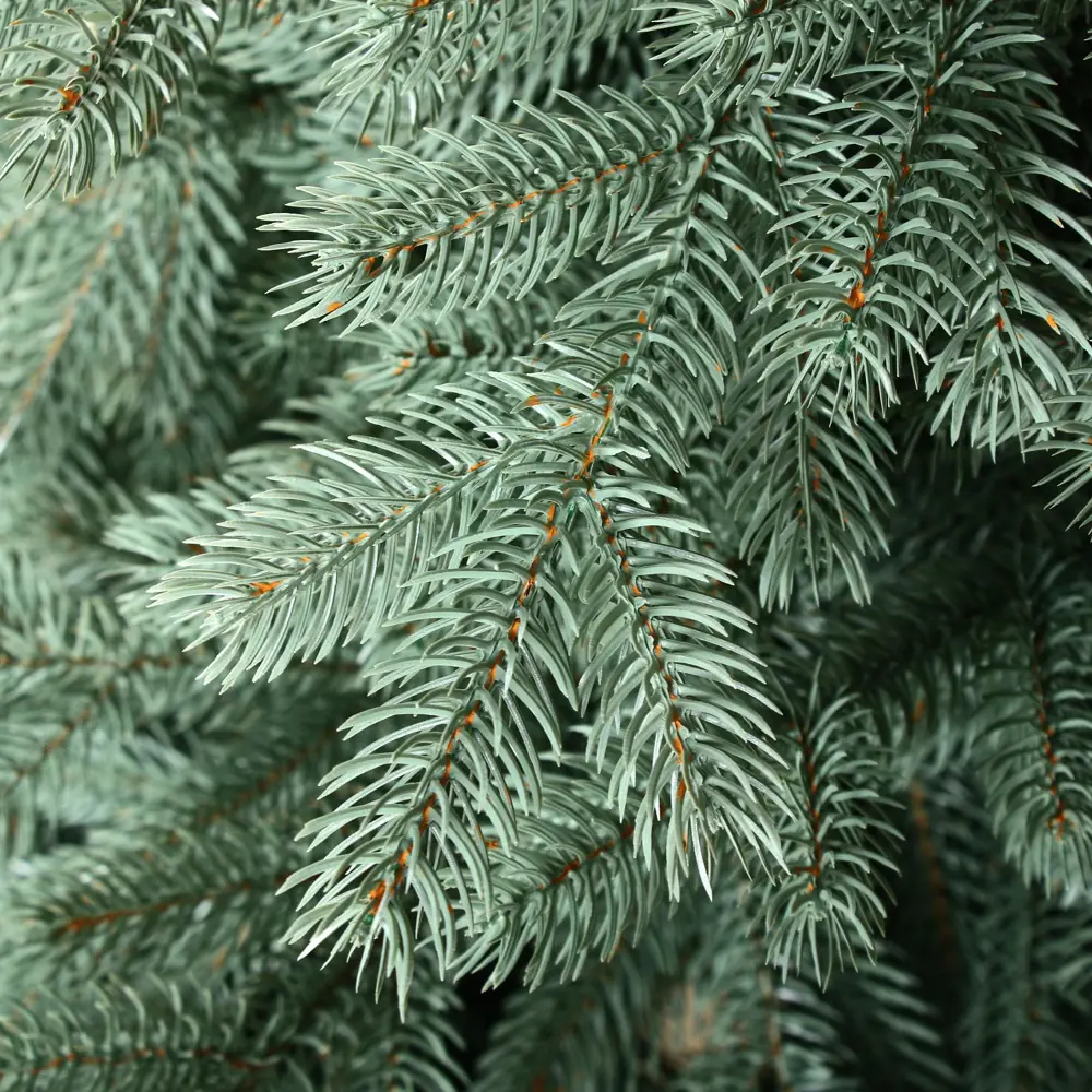 Фото 2 Ель новогодняя искусственная Max christmas 5116170 Юта 180 см Фото 2 Ель новогодняя искусственная Max christmas 5116170 Юта 180 см