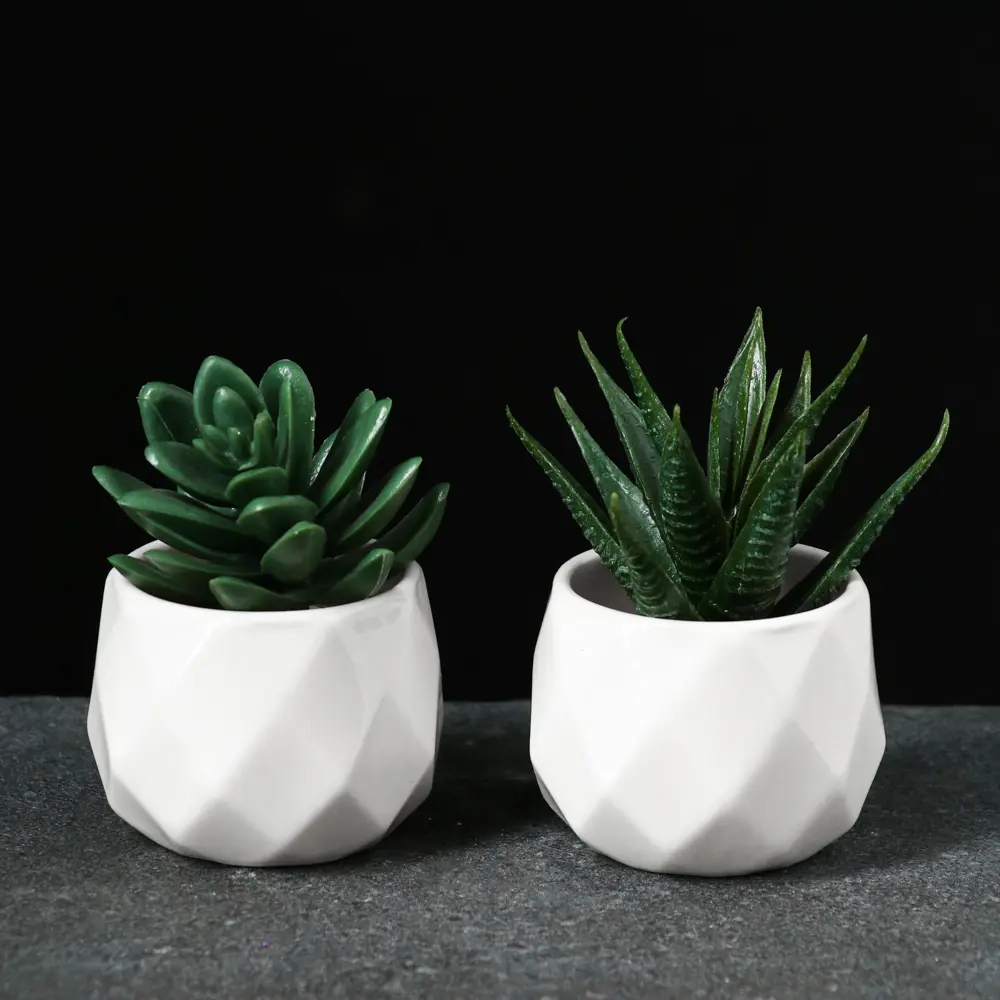 Фото 3 Горшок цветочный 6116693 Take it easy 6.5 см 0.3 л керамика белый Фото 3 Горшок цветочный 6116693 Take it easy 6.5 см 0.3 л керамика белый