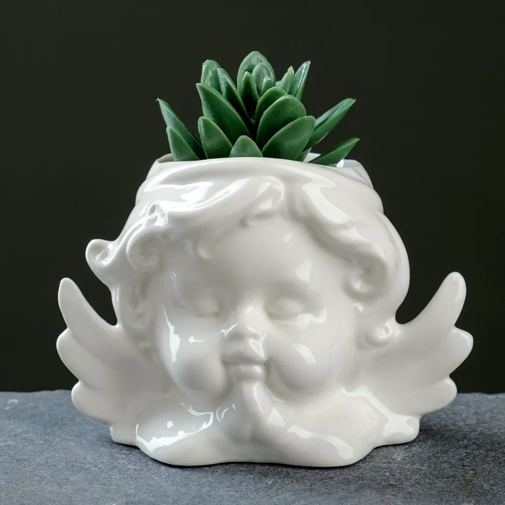 Фото Горшок цветочный 6116727 Take it easy 10.5 см 0.3 л керамика белый Фото Горшок цветочный 6116727 Take it easy 10.5 см 0.3 л керамика белый