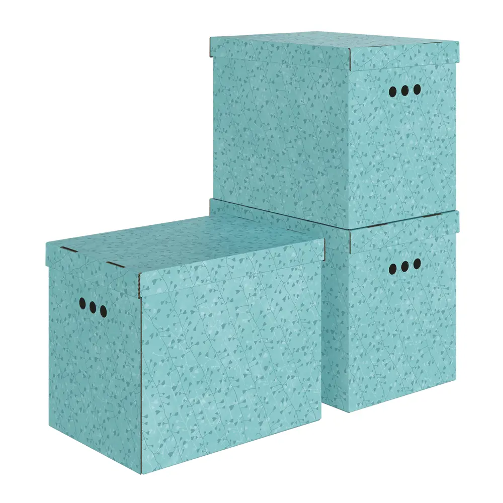 Фото Набор коробок 3 шт Valiant Botanic Aqua 28x31.50x38 см 33.50 л картон цвет бирюзовый Фото Набор коробок 3 шт Valiant Botanic Aqua 28x31.50x38 см 33.50 л картон цвет бирюзовый