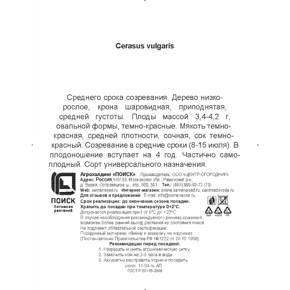 Фото 3 Вишня обыкновенная Быстринка h200 см Поиск Инвест Фото 3 Вишня обыкновенная Быстринка h200 см Поиск Инвест
