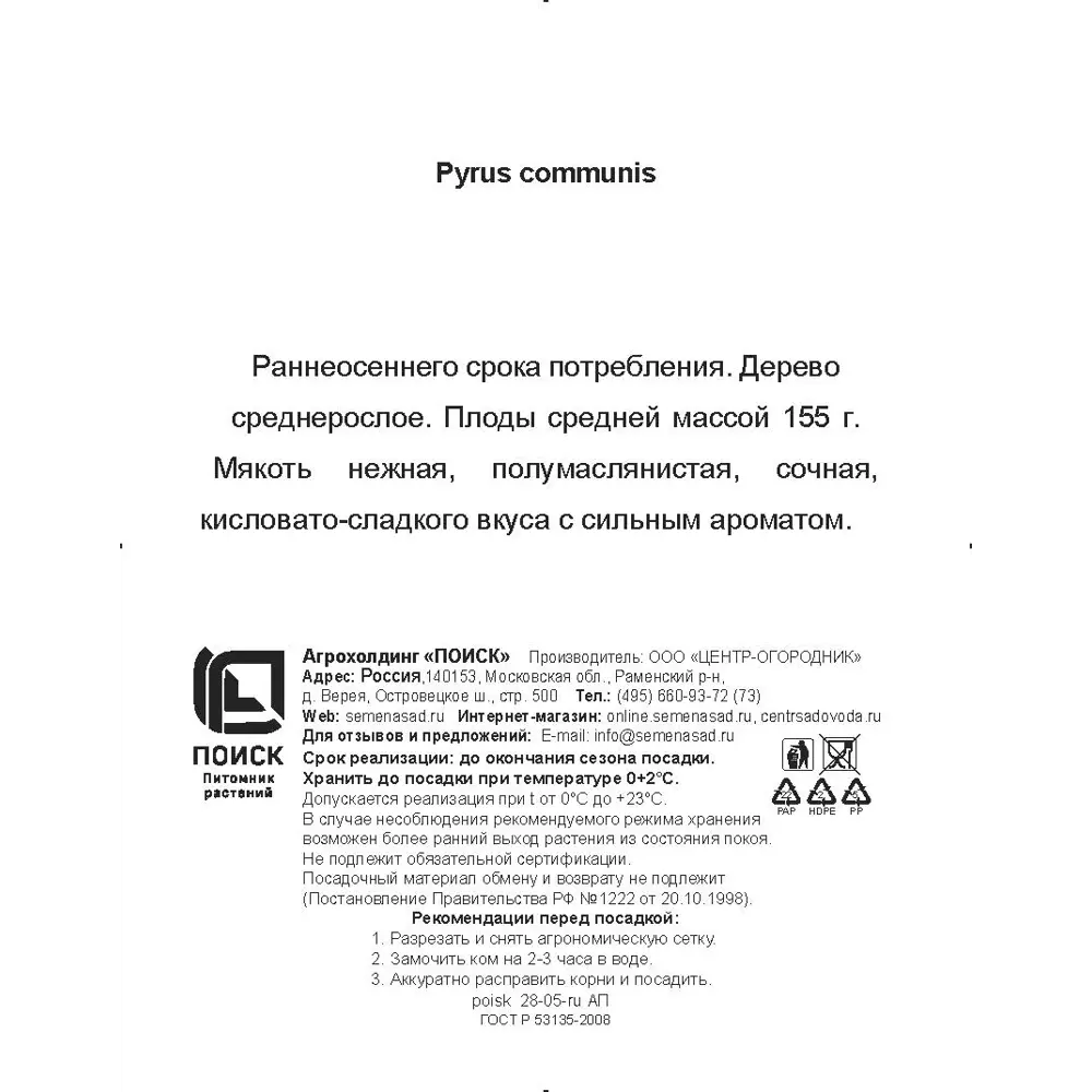 Фото 3 Груша обыкновенная Ириста h200 см Поиск Инвест Фото 3 Груша обыкновенная Ириста h200 см Поиск Инвест