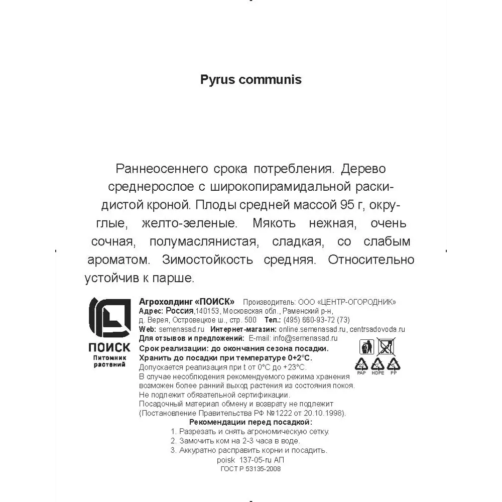 Фото 3 Груша обыкновенная Светлянка h200 см в сетке Поиск Инвест Фото 3 Груша обыкновенная Светлянка h200 см в сетке Поиск Инвест
