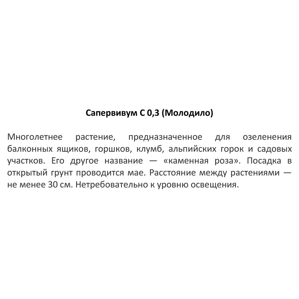Фото 3 Молодило гибридное h15 см Фото 3 Молодило гибридное h15 см