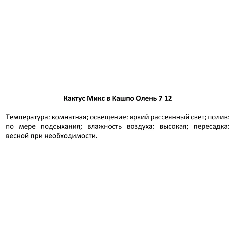 Фото 9 Кактус микс ø7 h12 см Фото 9 Кактус микс ø7 h12 см