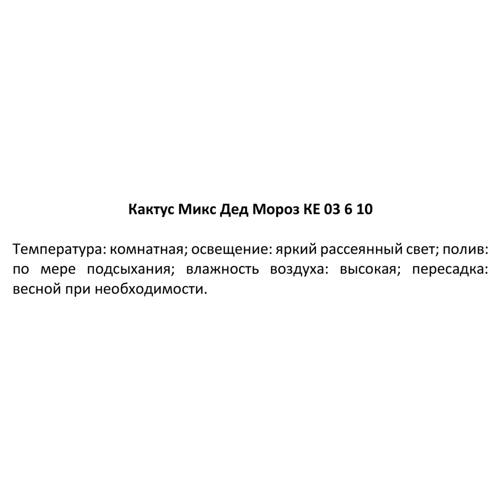 Фото 8 Кактус Микс Дед Мороз ø6 h10 см Фото 8 Кактус Микс Дед Мороз ø6 h10 см