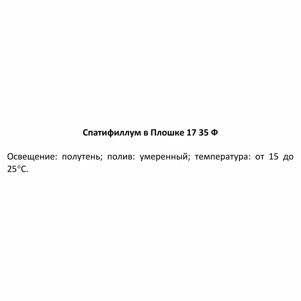 Фото 5 Спатифиллум ø17 h35 см Фото 5 Спатифиллум ø17 h35 см