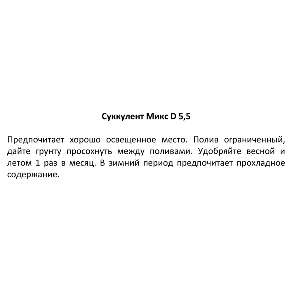 Фото 5 Суккулент микс ø5.5 h5 см Фото 5 Суккулент микс ø5.5 h5 см