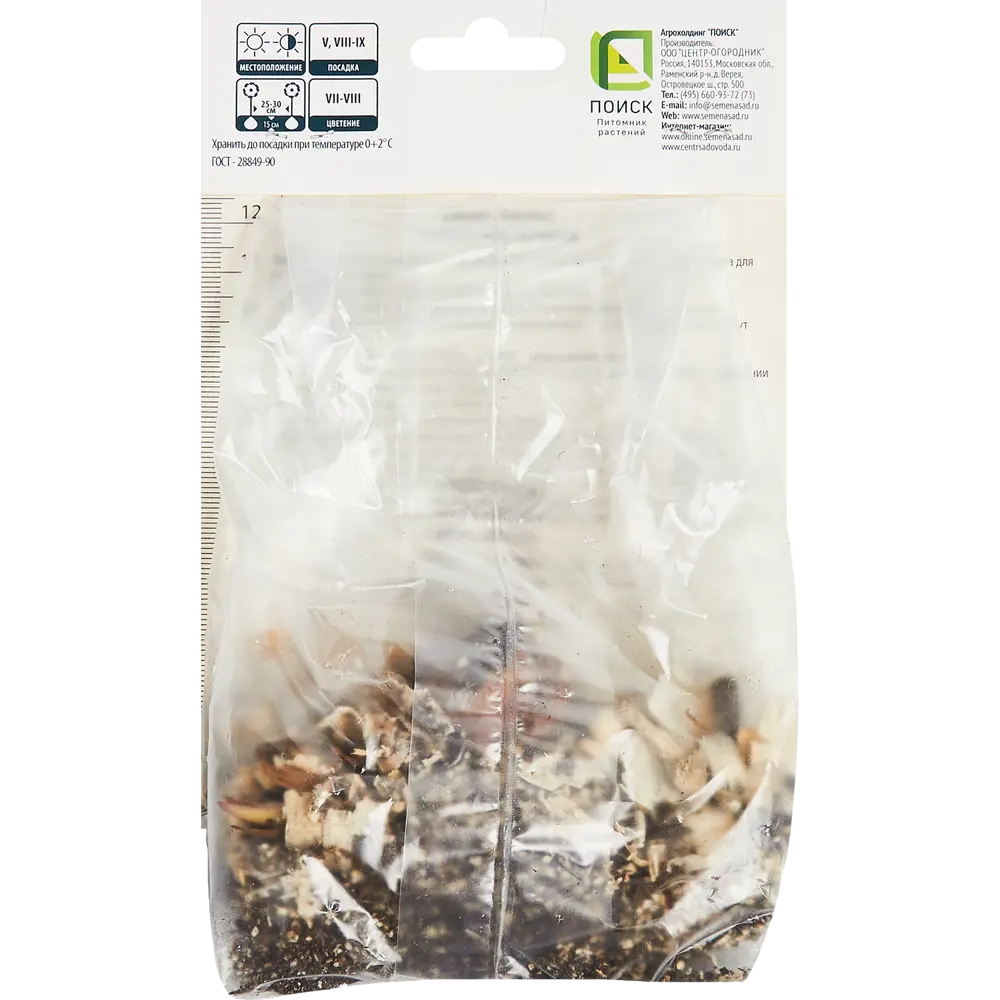 Фото 2 Лилия восточная Дигнити Фото 2 Лилия восточная Дигнити