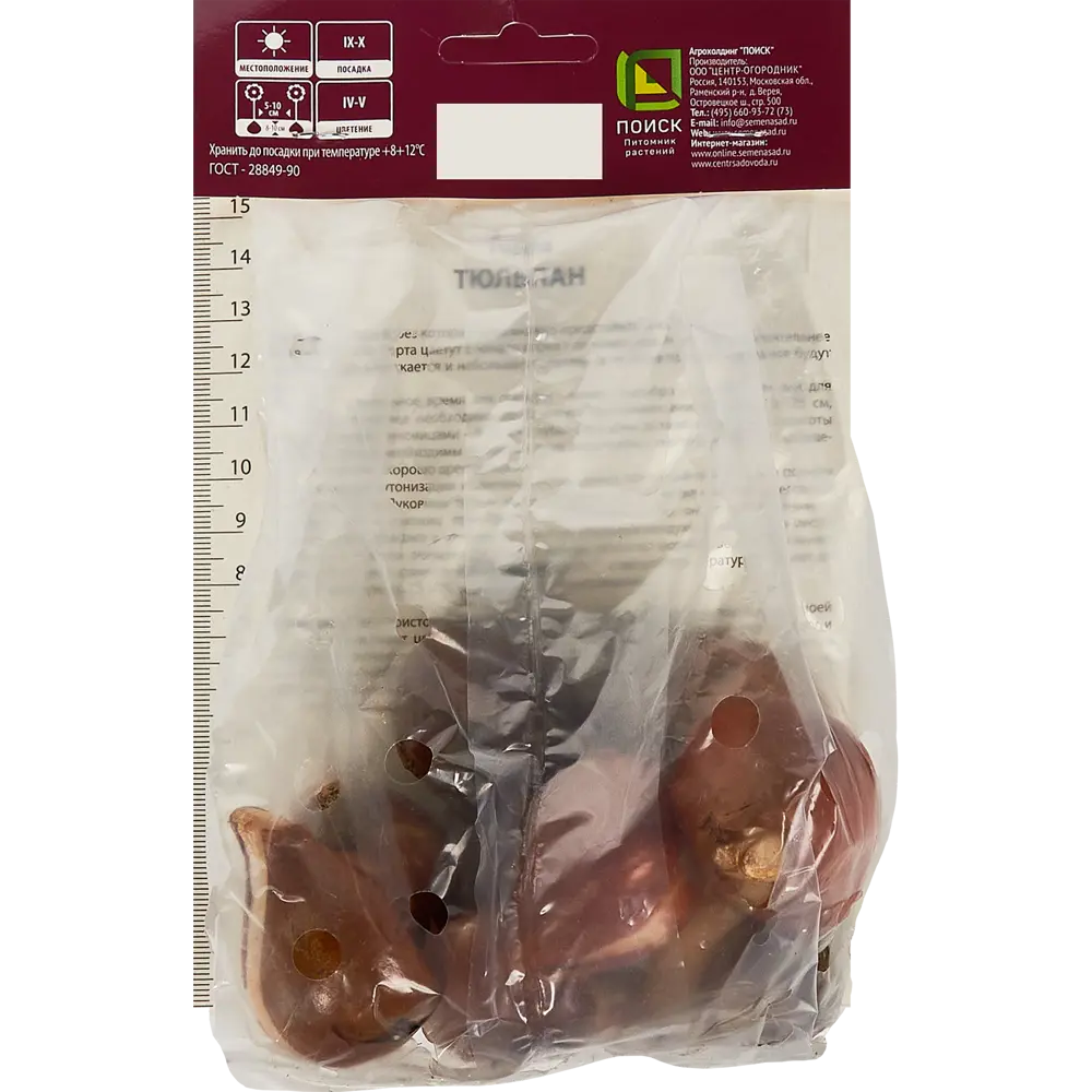 Фото 2 Тюльпан лилиецветный Ластинг лав луковица 11/12, 10 шт. Фото 2 Тюльпан лилиецветный Ластинг лав луковица 11/12, 10 шт.