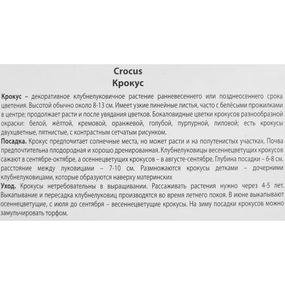 Фото 3 Крокус крупноцветковый Кинг ов страйпт луковица 8/9, 10 шт. Фото 3 Крокус крупноцветковый Кинг ов страйпт луковица 8/9, 10 шт.
