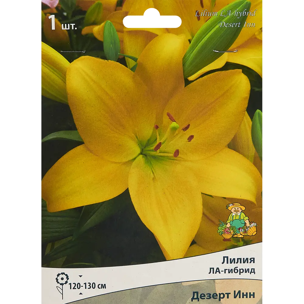 Фото Лилия ла-гибрид Дезерт Инн Фото Лилия ла-гибрид Дезерт Инн