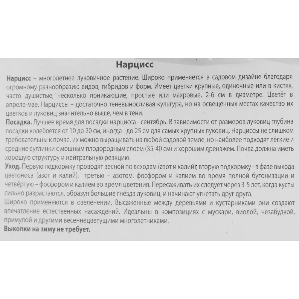 Фото 3 Нарцисс трубчатый Чайниз корал луковица 10/12, 3 шт. Фото 3 Нарцисс трубчатый Чайниз корал луковица 10/12, 3 шт.