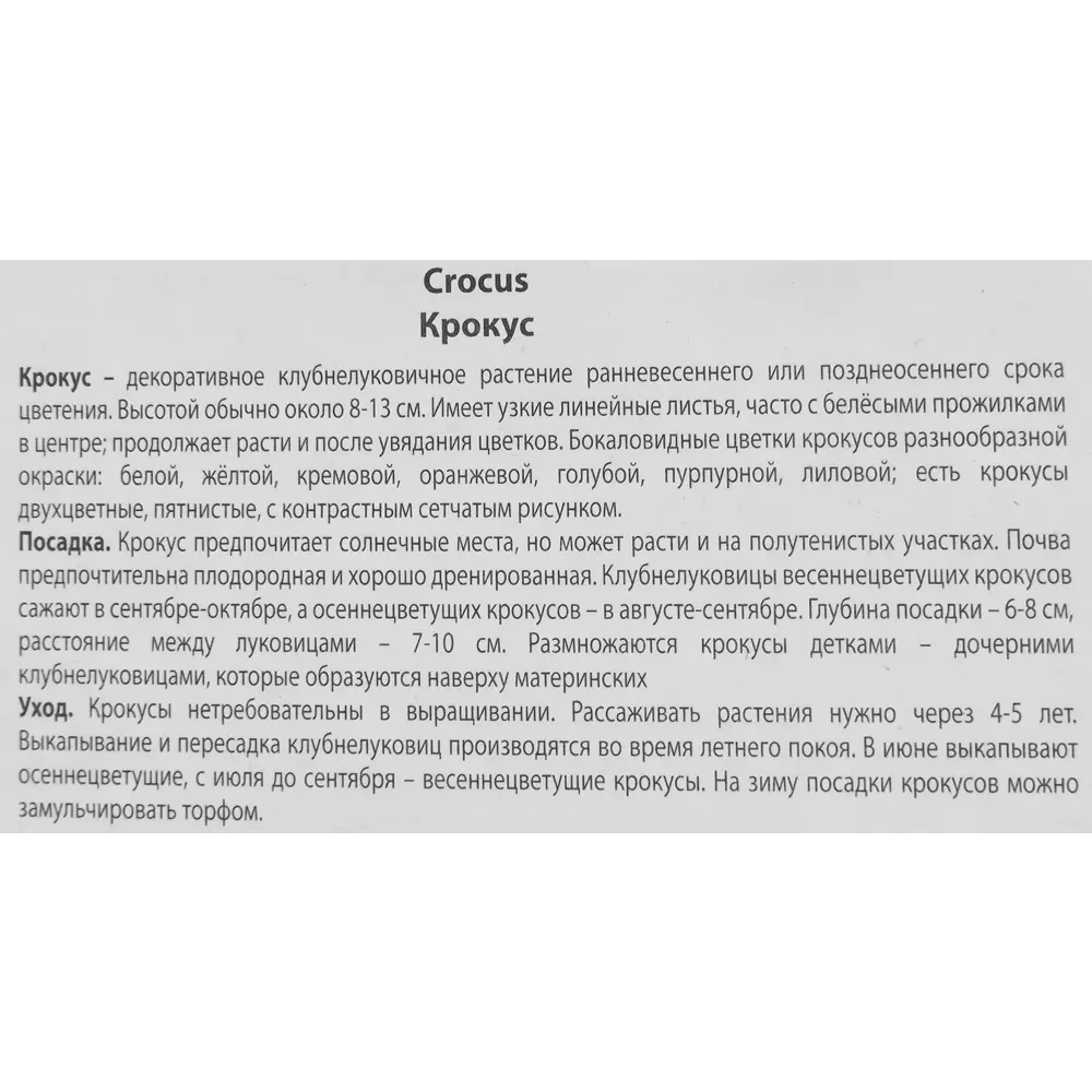 Фото 3 Крокус Зибера Спринг бьюти луковица 5/7, 10 шт. Фото 3 Крокус Зибера Спринг бьюти луковица 5/7, 10 шт.