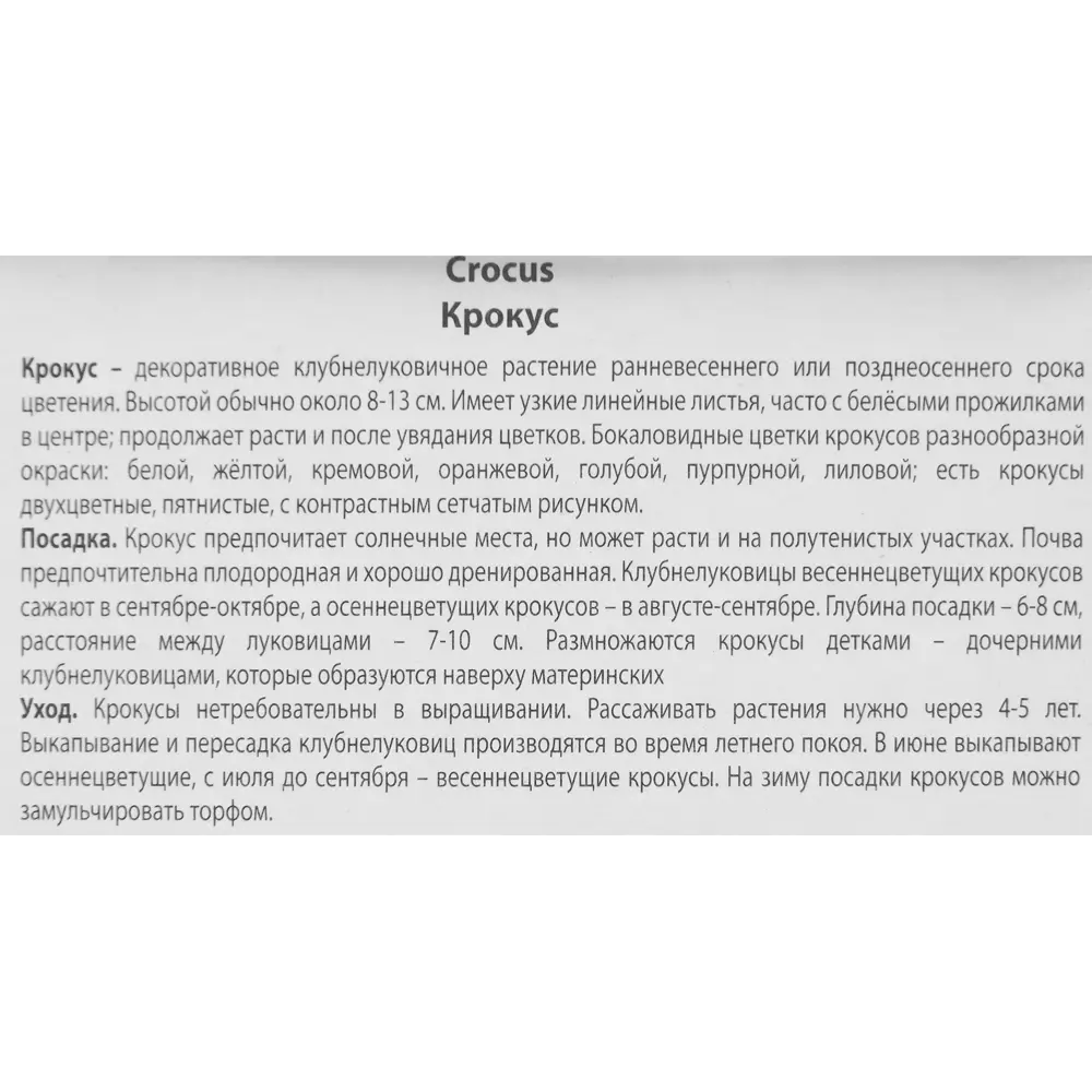 Фото 3 Крокус ботанический Крим бьюти луковица 5/7, 10 шт. Фото 3 Крокус ботанический Крим бьюти луковица 5/7, 10 шт.