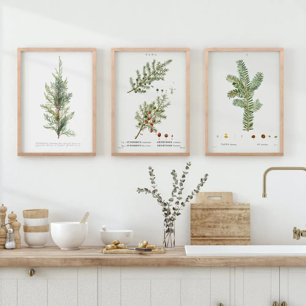 Фото Набор постеров 3 шт 28 картин Хвоя ветки елки 30x40 см без рамы Фото Набор постеров 3 шт 28 картин Хвоя ветки елки 30x40 см без рамы