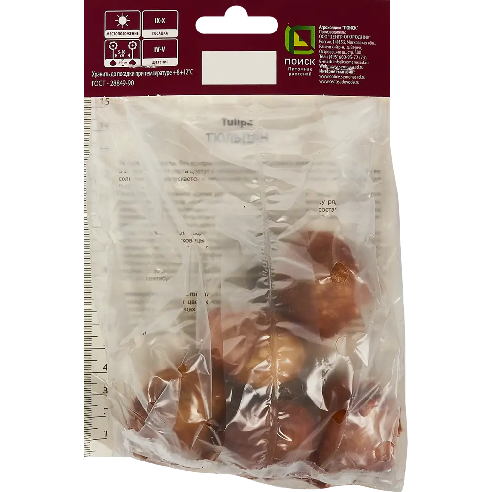 Фото 2 Тюльпан лилиецветный Алладинз Рекорд, 5 шт