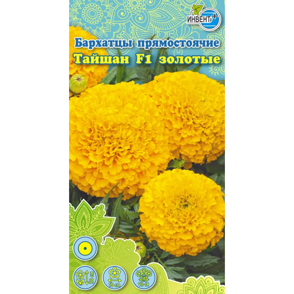 Ретро жалаңаш әйелдер аяқтарын жайып жіберді Жас ханымдар порно онлайн