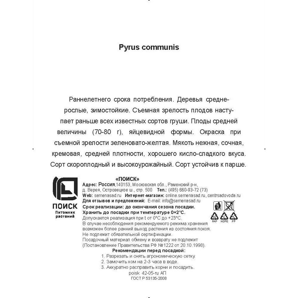 Фото 3 Груша Скороспелка Мичуринска сетка h180 см Фото 3 Груша Скороспелка Мичуринска сетка h180 см